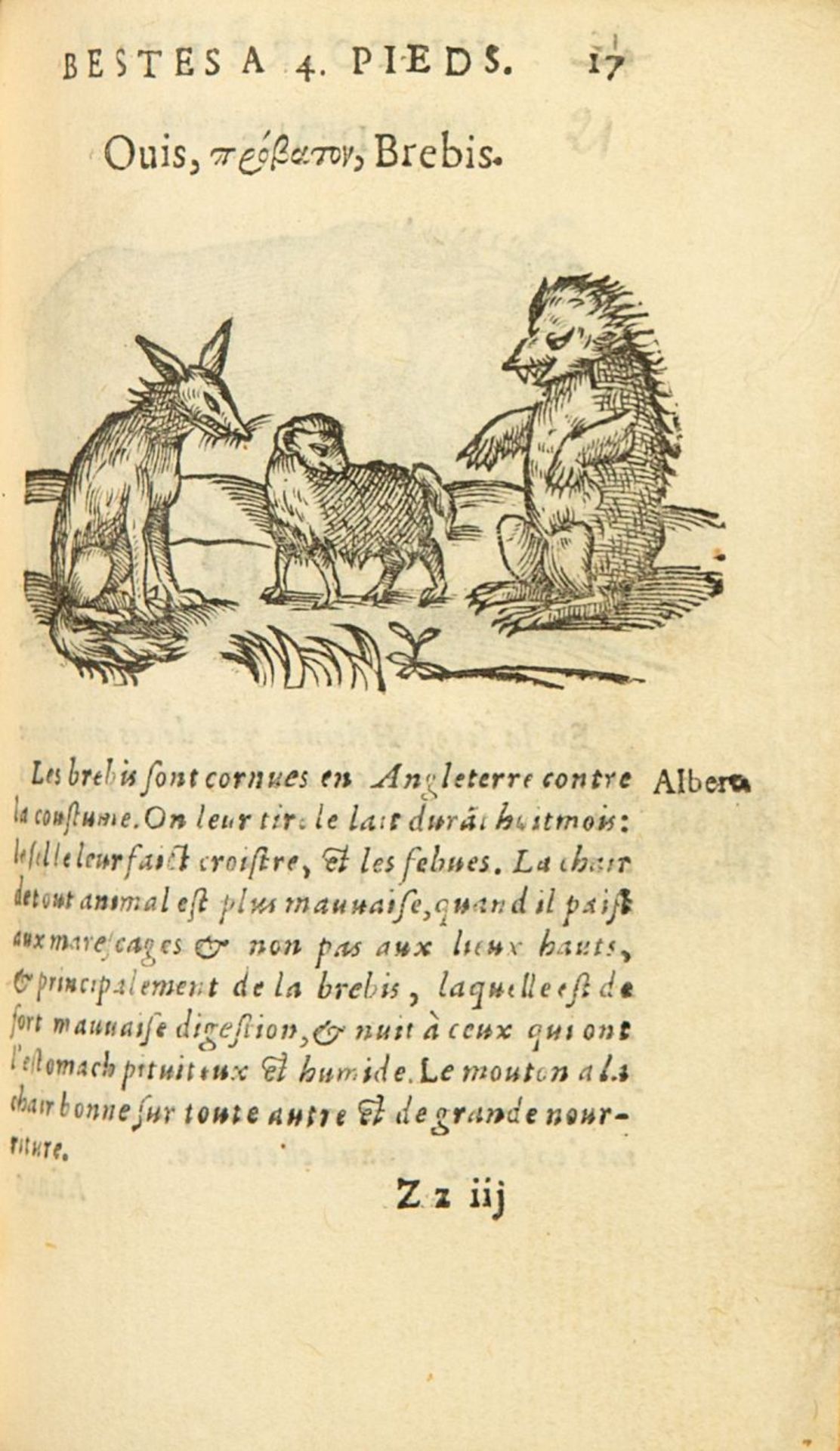G. Linocier, L'histoire des plantes. 7 Tle. in 1 Bd. Paris 1619-20. - Bild 3 aus 4