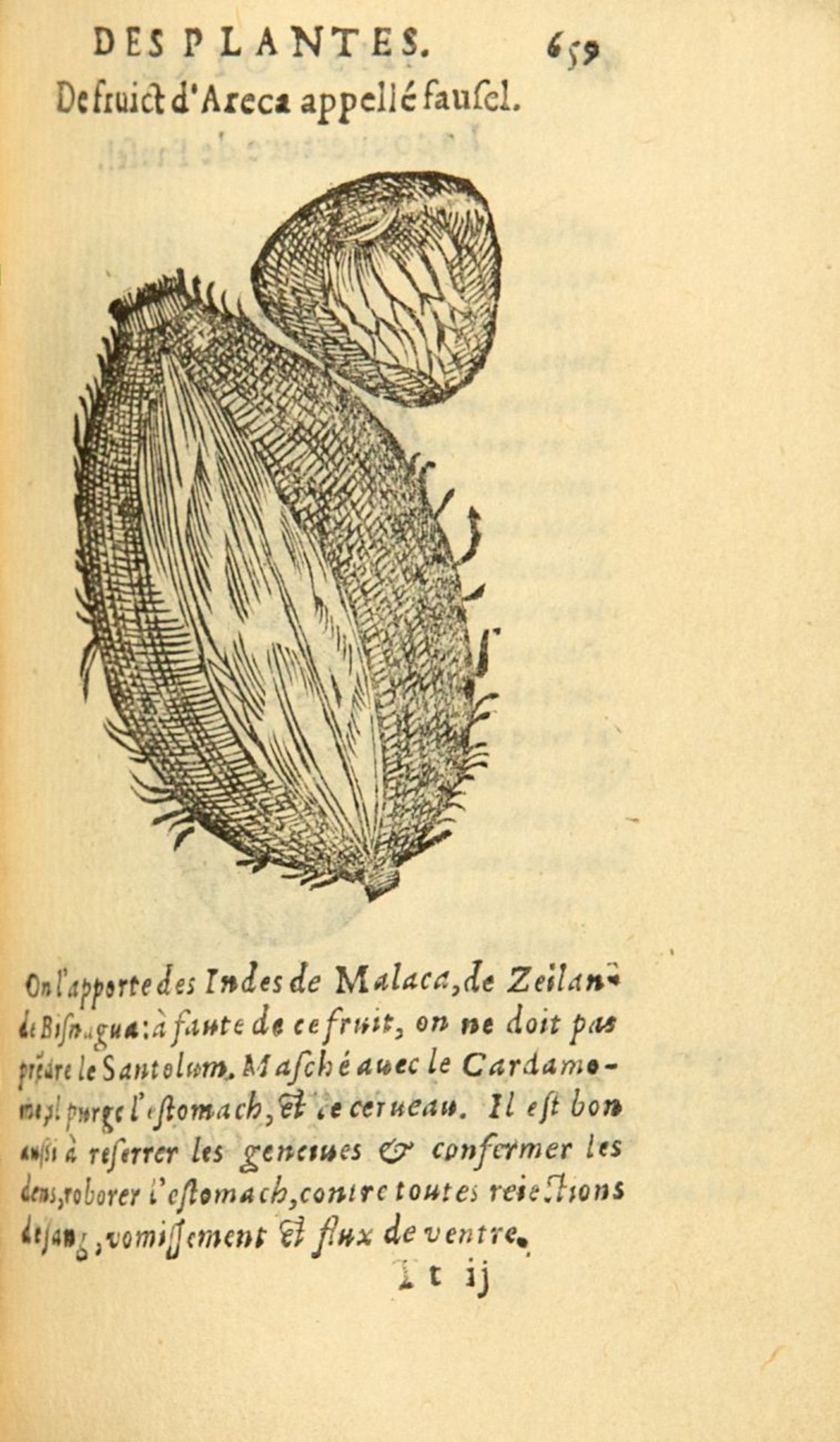G. Linocier, L'histoire des plantes. 7 Tle. in 1 Bd. Paris 1619-20. - Bild 2 aus 4