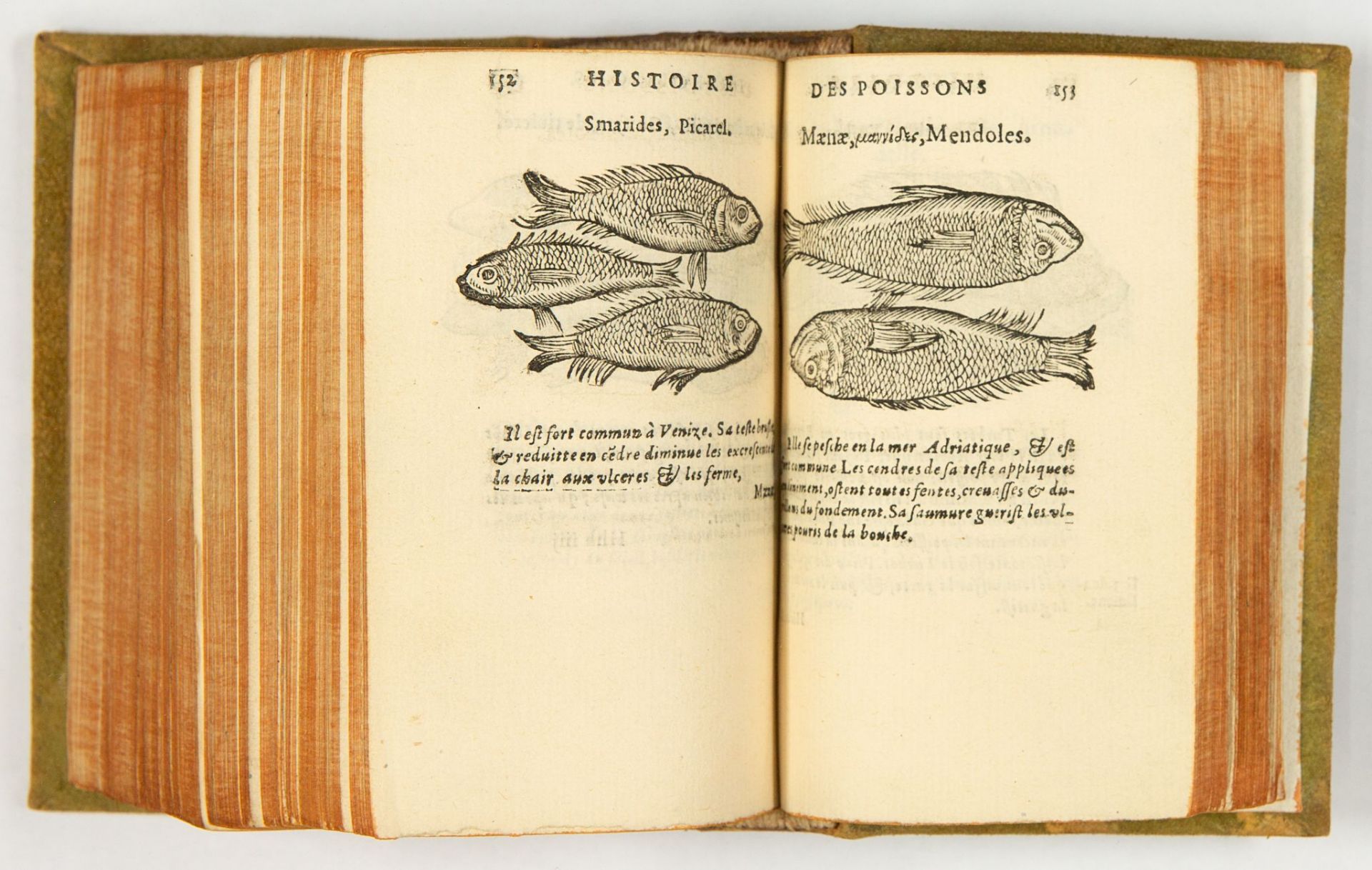 G. Linocier, L'histoire des plantes. 7 Tle. in 1 Bd. Paris 1619-20.