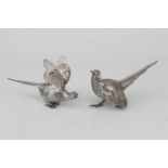 A pair of Dutch silver pheasants. 1973.