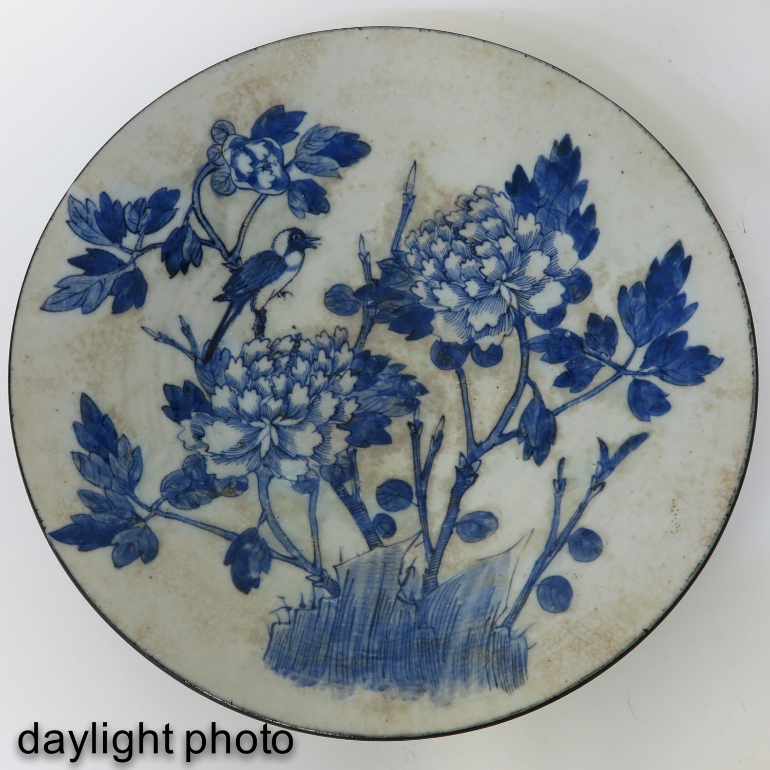 A Blue and White Charger - Image 5 of 7