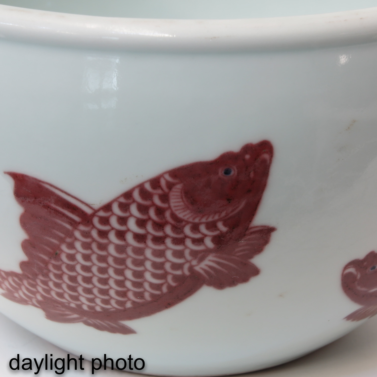 A Fish Decor Cache Pot - Image 9 of 9