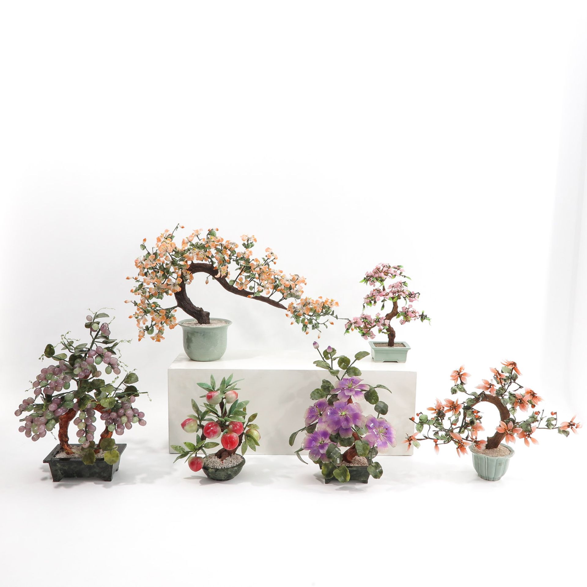 A Collection of Floral Arrangements