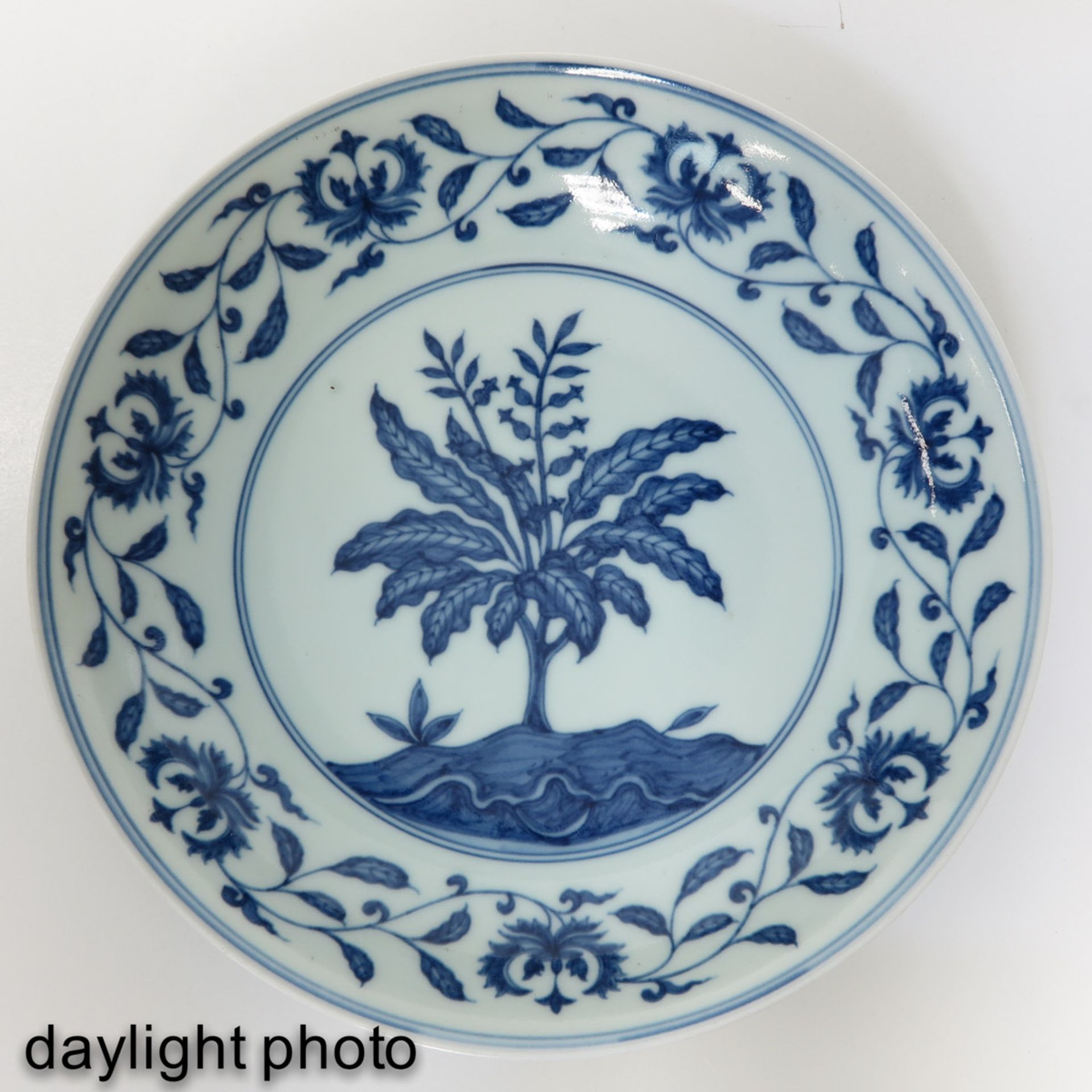 A Blue and White Dish - Image 5 of 8
