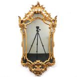 A Mirror in Gilded Frame