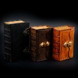A Collection of 3 Bibles