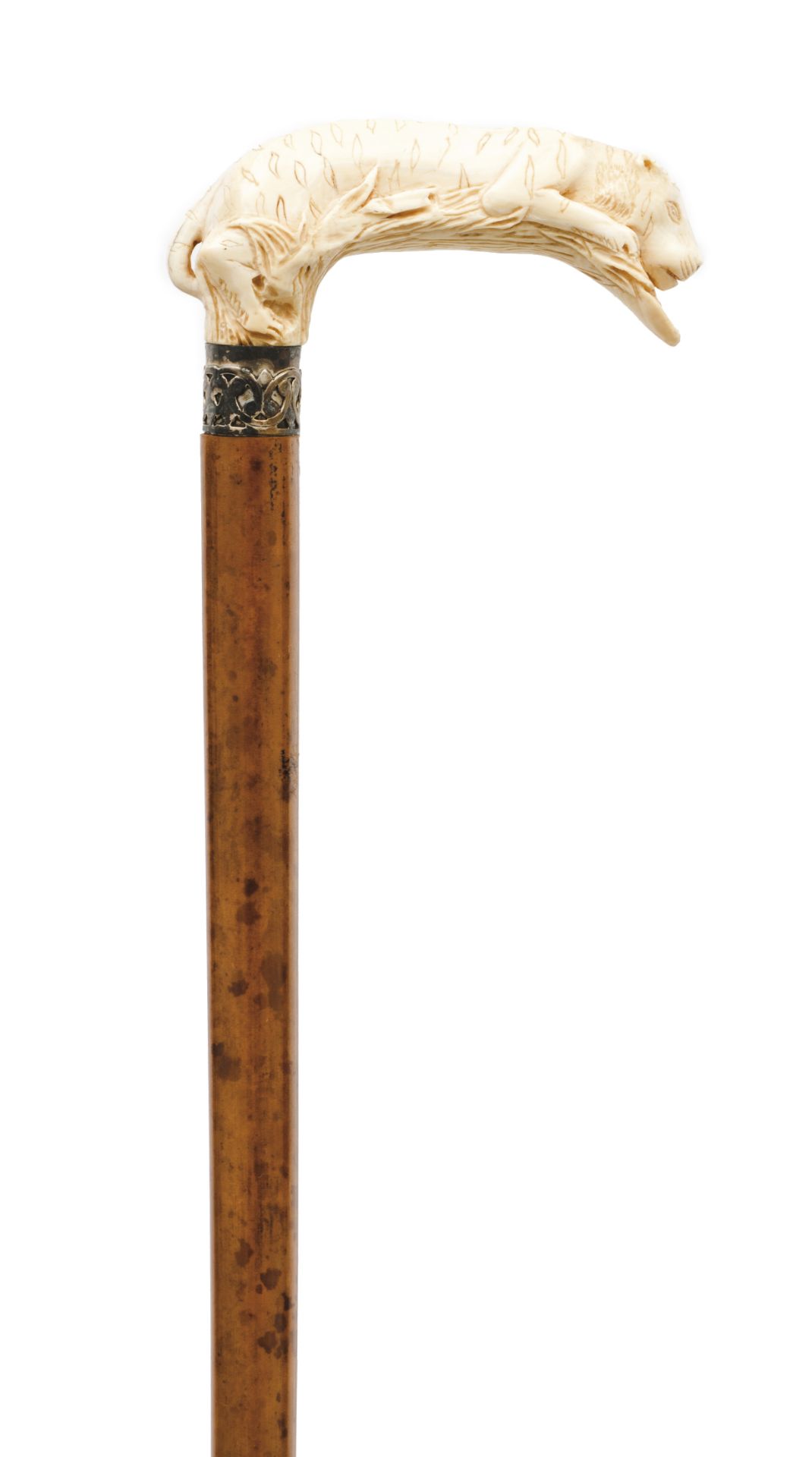 A walking stick