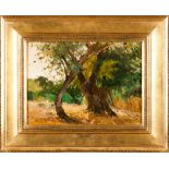 Ezequiel Pereira (1868-1943)"Vila de Frades- Alentejo"Oil on canvas Signed34x46 cm