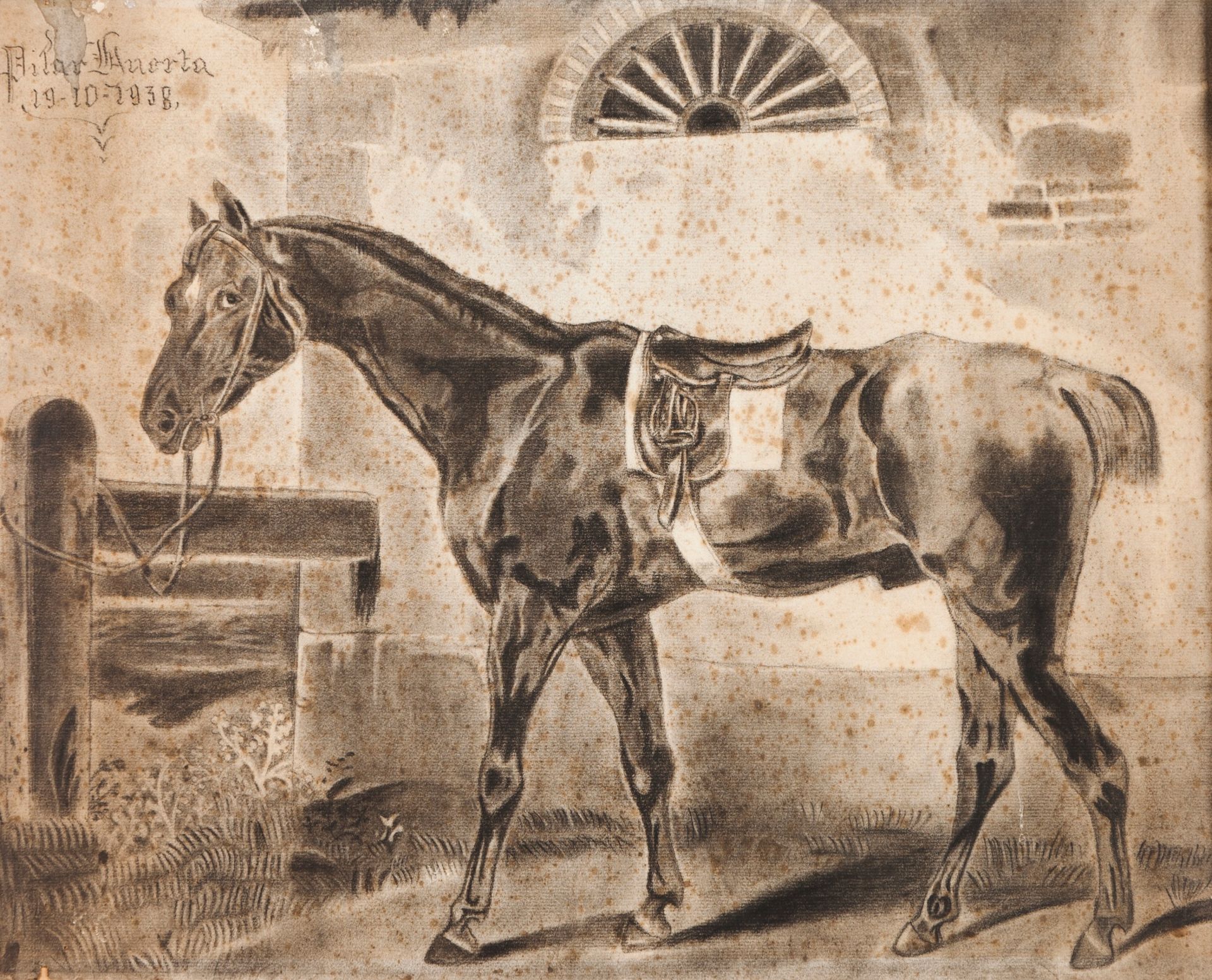 Pilar Huerta (XX)A portrait of a horseChalk on paper Signed and dated 19-10-193846x58cm<