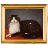European school, 20th centuryA cat Set of two oils on panel and cardboard36x38,5 cm (largest)