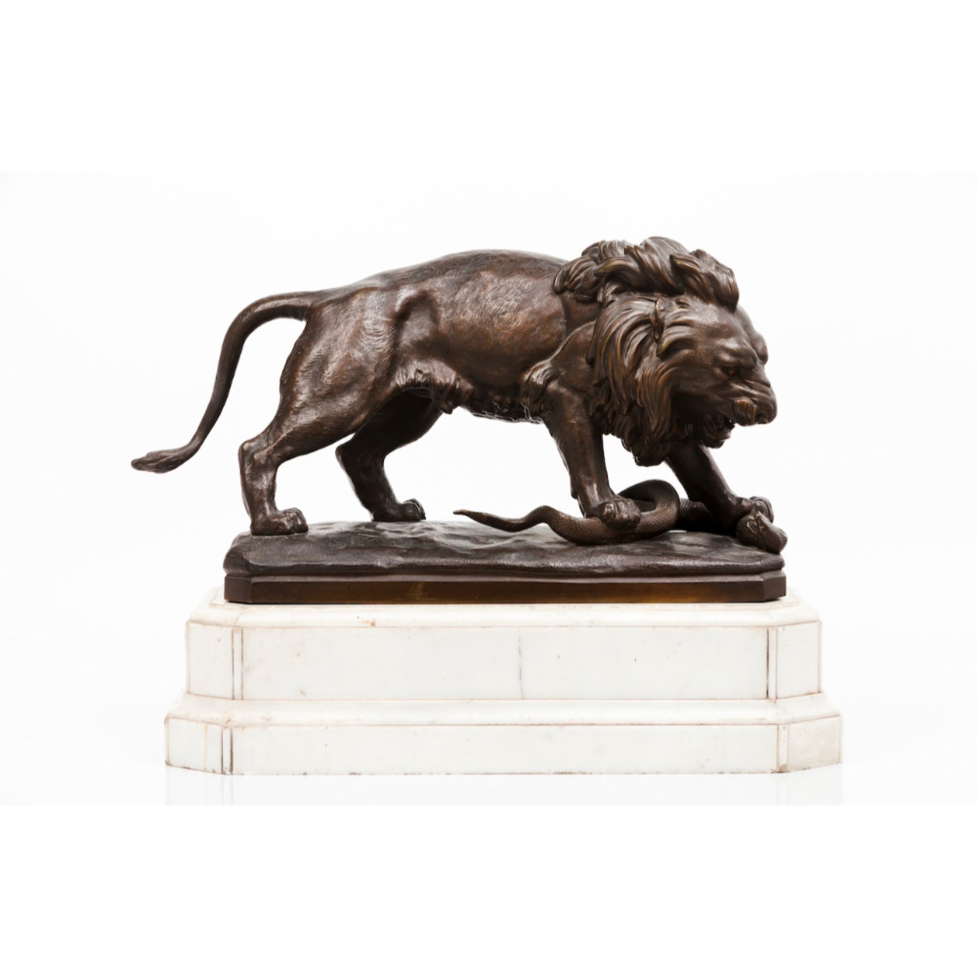 A lion crushing a snakePatinated bronze sculpture White marble stand44,5x62 cm
