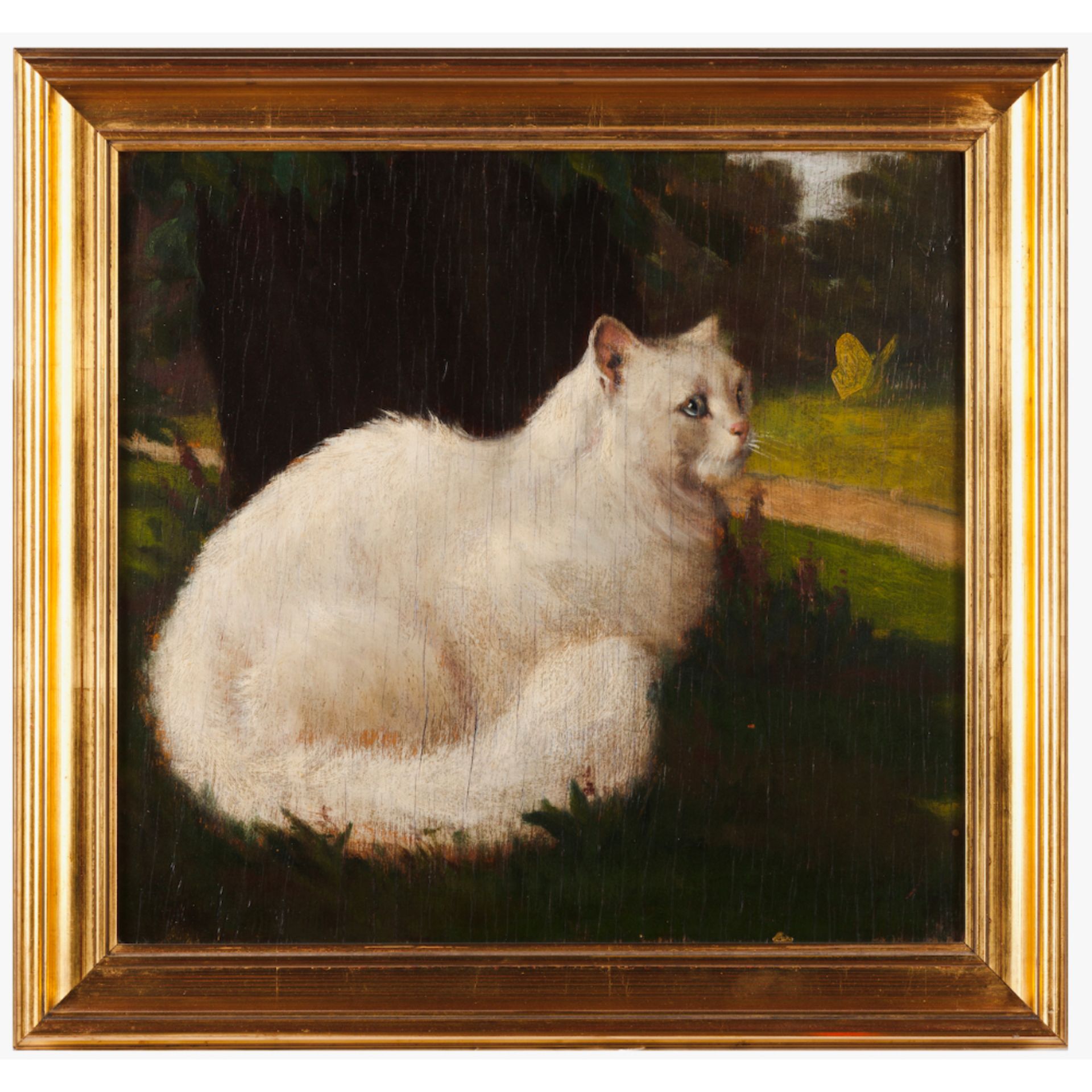 European school, 20th centuryA cat Set of two oils on panel and cardboard36x38,5 cm (largest) - Image 2 of 2