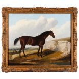 English school, 19th century"Horse" Oil on canvas Signed and dated "Dunn" 184464x77 cm