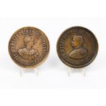 A pair of commemorative medalsBronze Allusive to the Industry, Arts and Sciences Exhibition in the