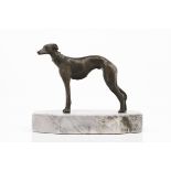A greyhound