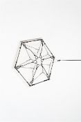 Tomás Saraceno. „Network 5“. 2011