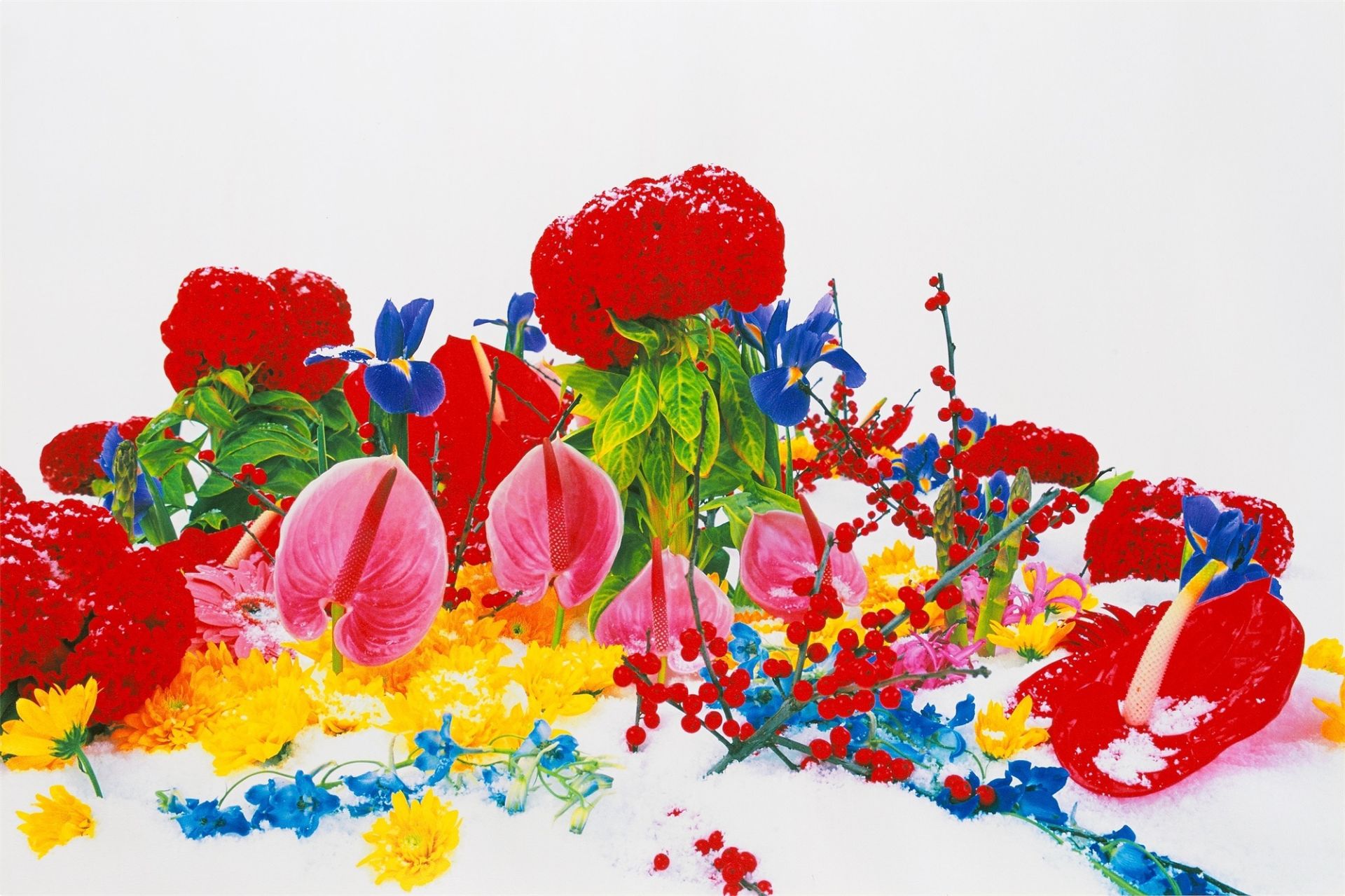 Marc Quinn. Aus: „Winter Garden“. 2004