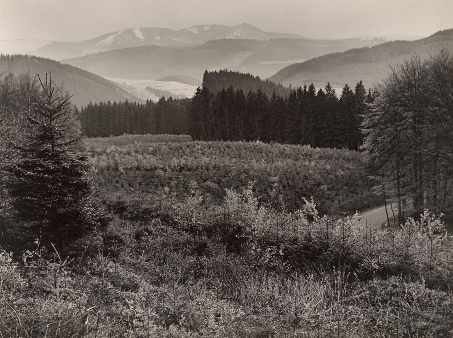 Albert Renger-Patzsch. Blick auf den Olsberg, Ruhrtal bei Nuttlar. 1957