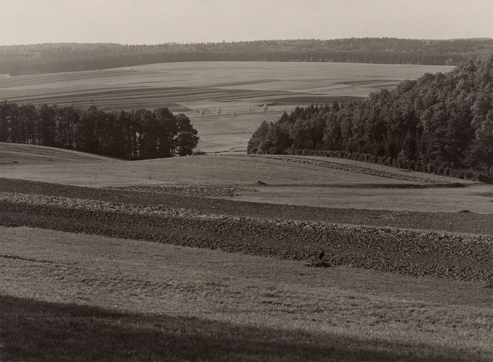 Albert Renger-Patzsch. „Hunsrück Landschaft, Nähe Rheinböllen“. Um 1942