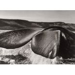 Sebastião Salgado. „Argentina“. Southern Right Whale, Valdés Peninsula. 2005