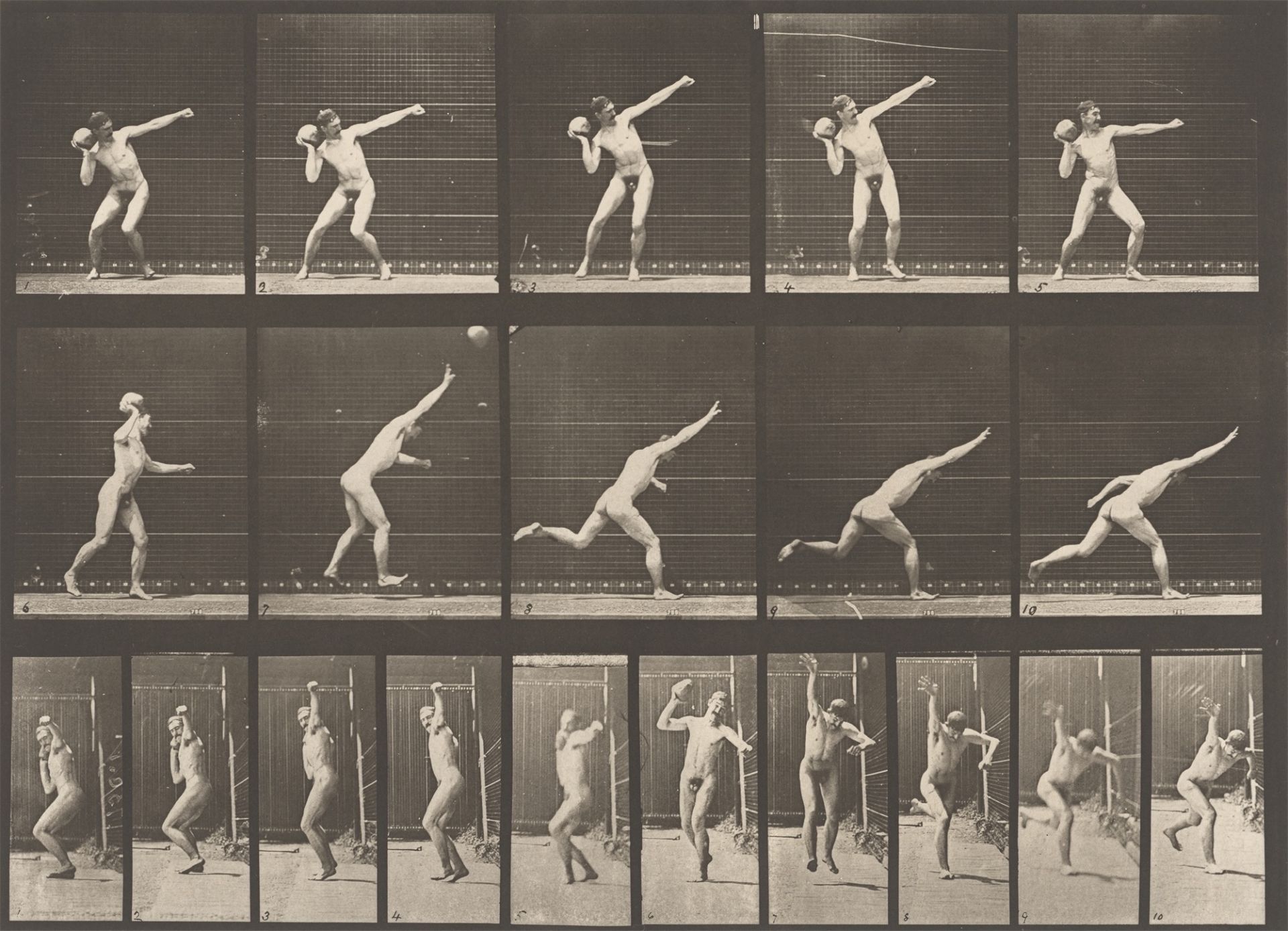 Eadweard Muybridge (Edward James Muggeridge). Heaving a 20-lb. rock. Plate 314, aus der Seri…. 1885