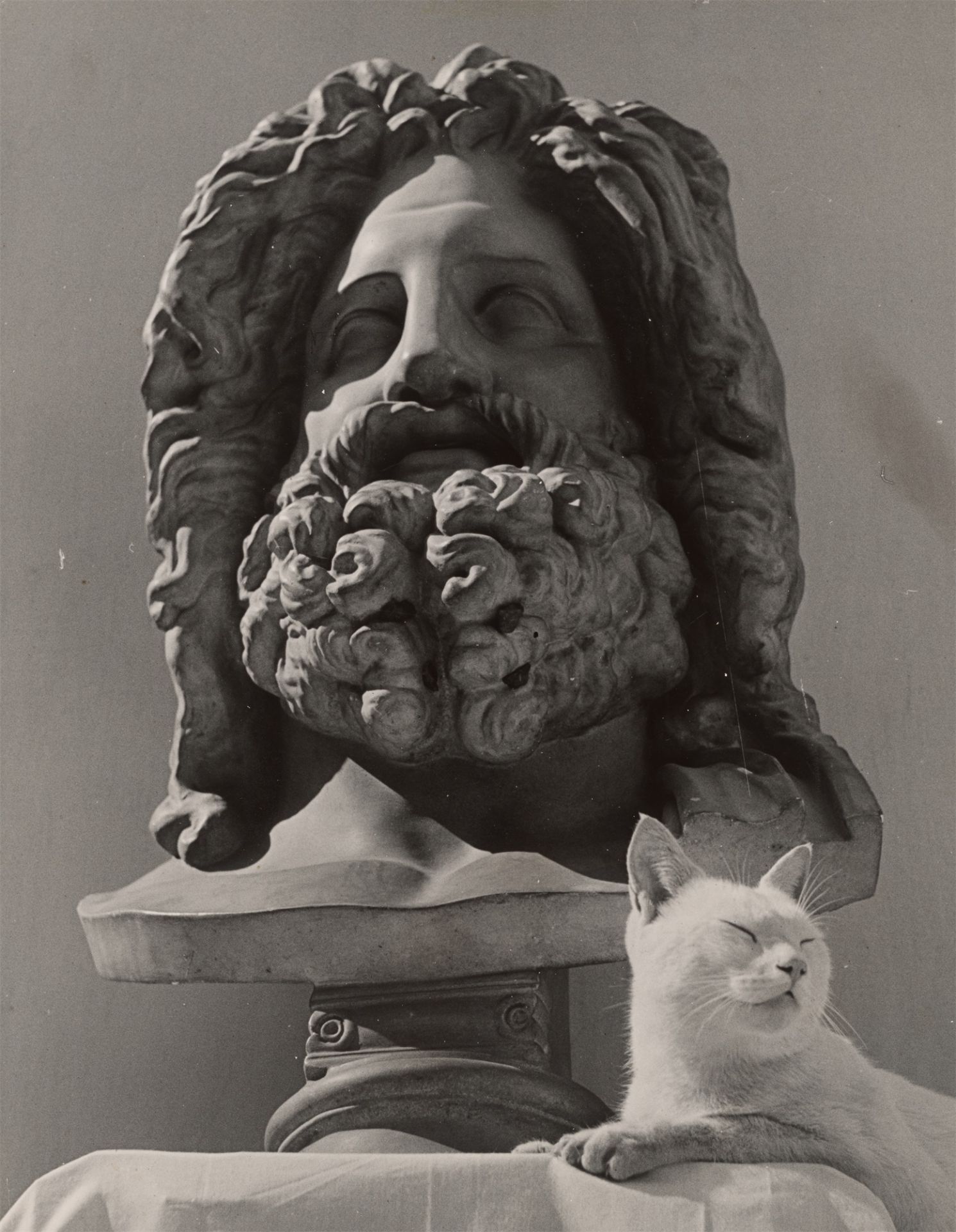 Herbert List. Jupiter und die Katze, Rom. 1949