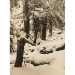 Albert Renger-Patzsch. „Erster Schnee am Brockenhang“. Um 1925/26
