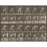 Eadweard Muybridge (Edward James Muggeridge). Baseball, catching. Plate 280, aus der Serie „…. 1885