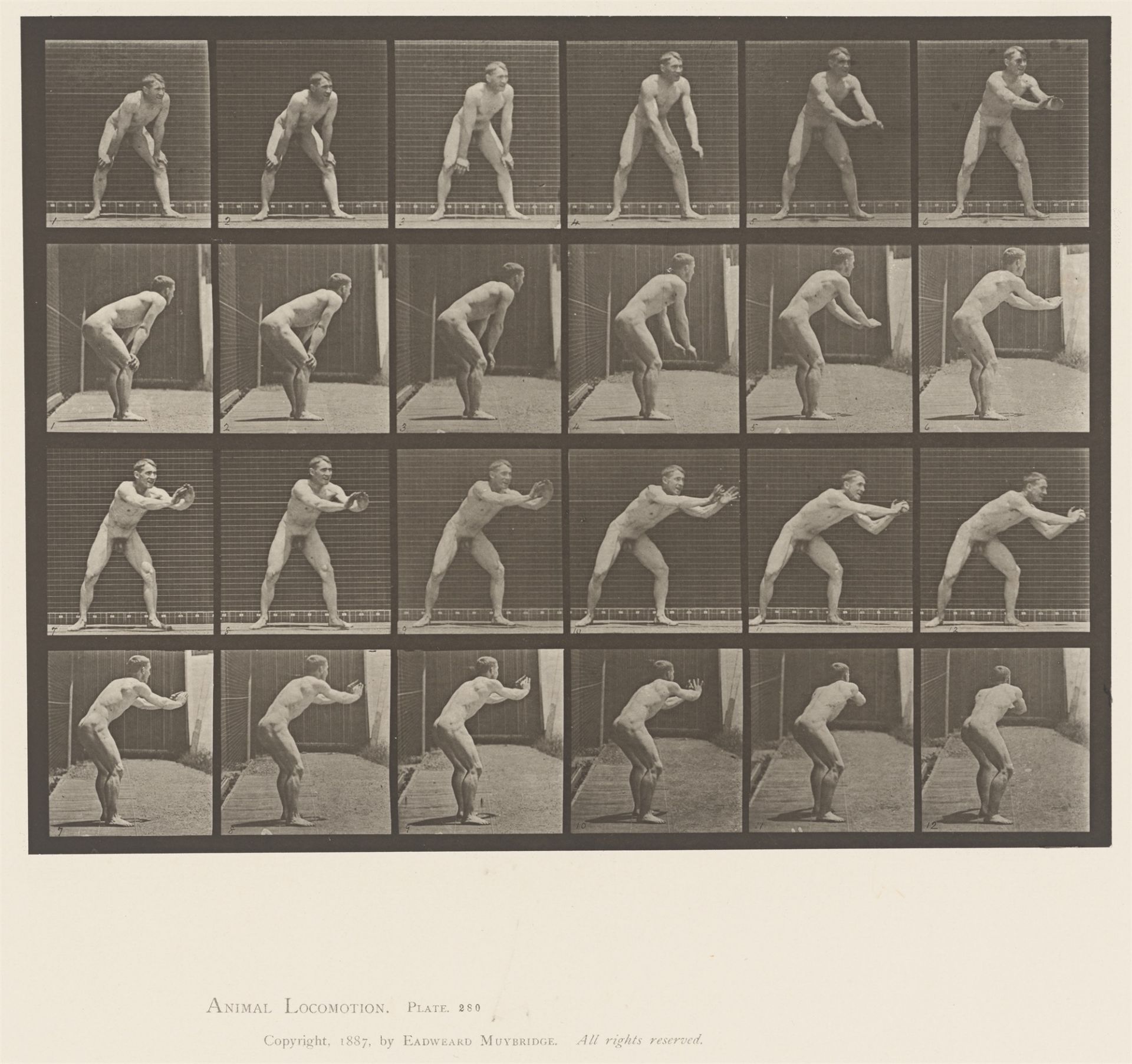 Eadweard Muybridge (Edward James Muggeridge). Baseball, catching. Plate 280, aus der Serie „…. 1885 - Image 2 of 2