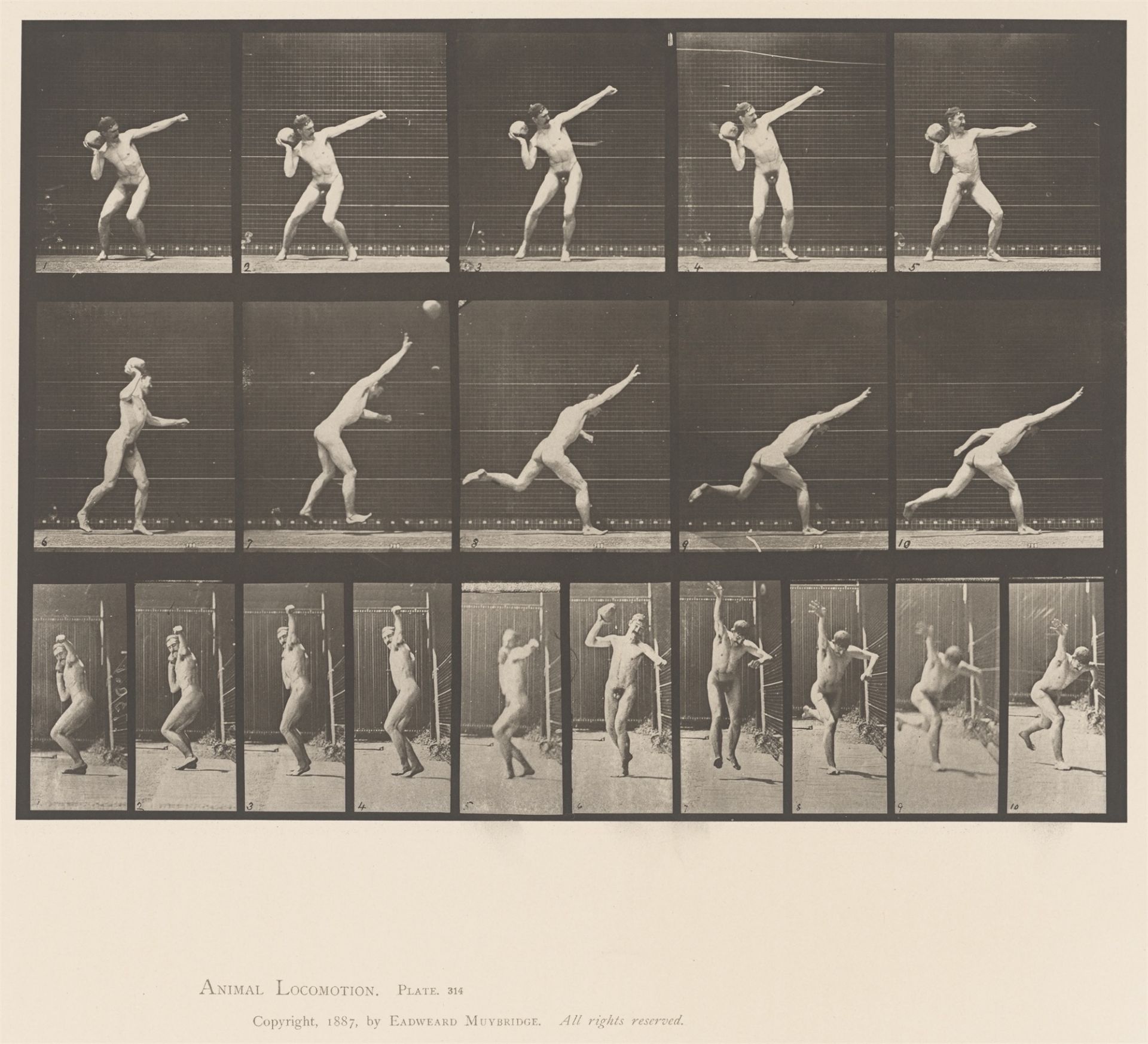 Eadweard Muybridge (Edward James Muggeridge). Heaving a 20-lb. rock. Plate 314, aus der Seri…. 1885 - Image 2 of 2