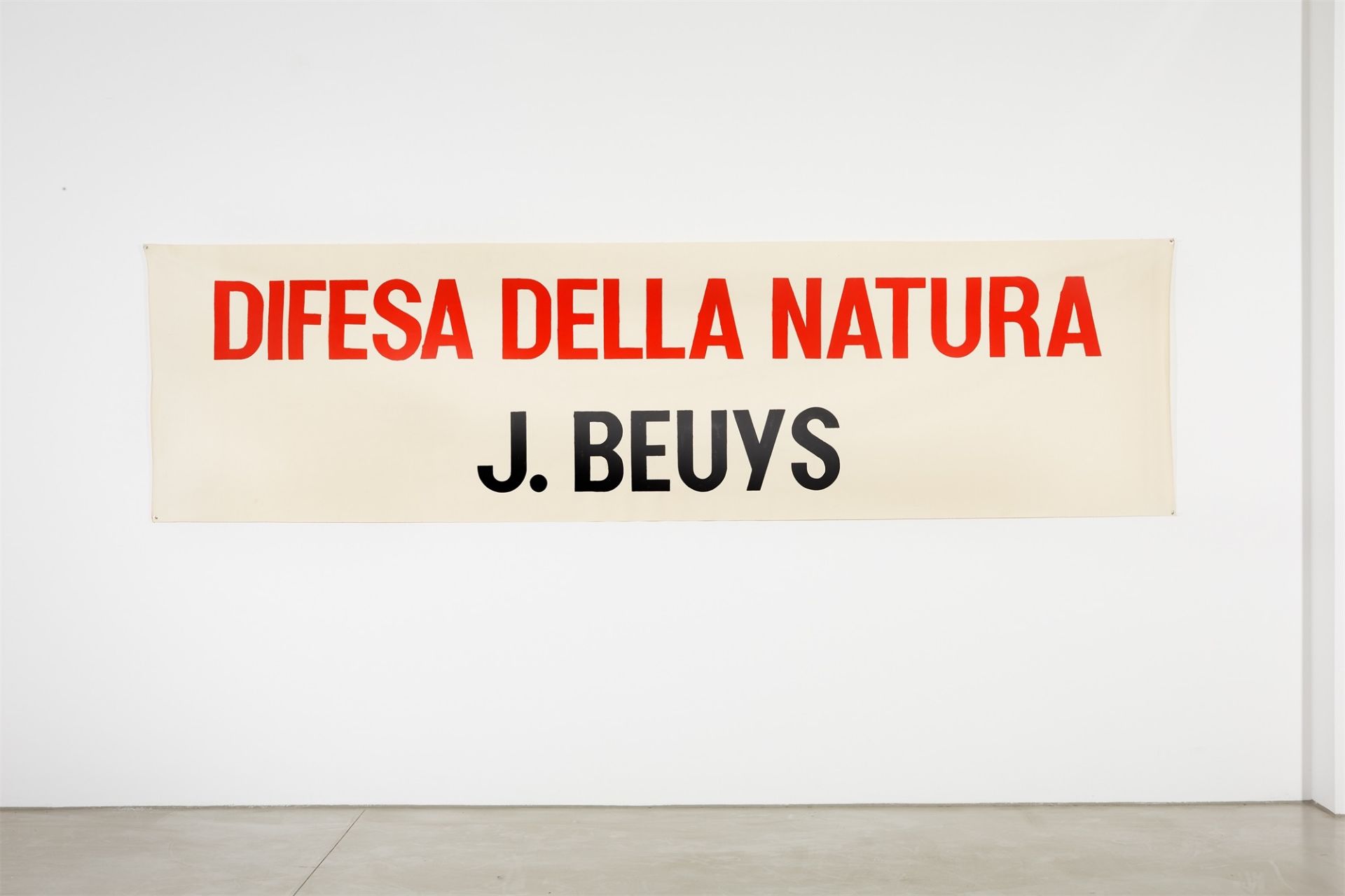 Joseph Beuys. „Difesa della Natura“. 1982 - Image 2 of 2