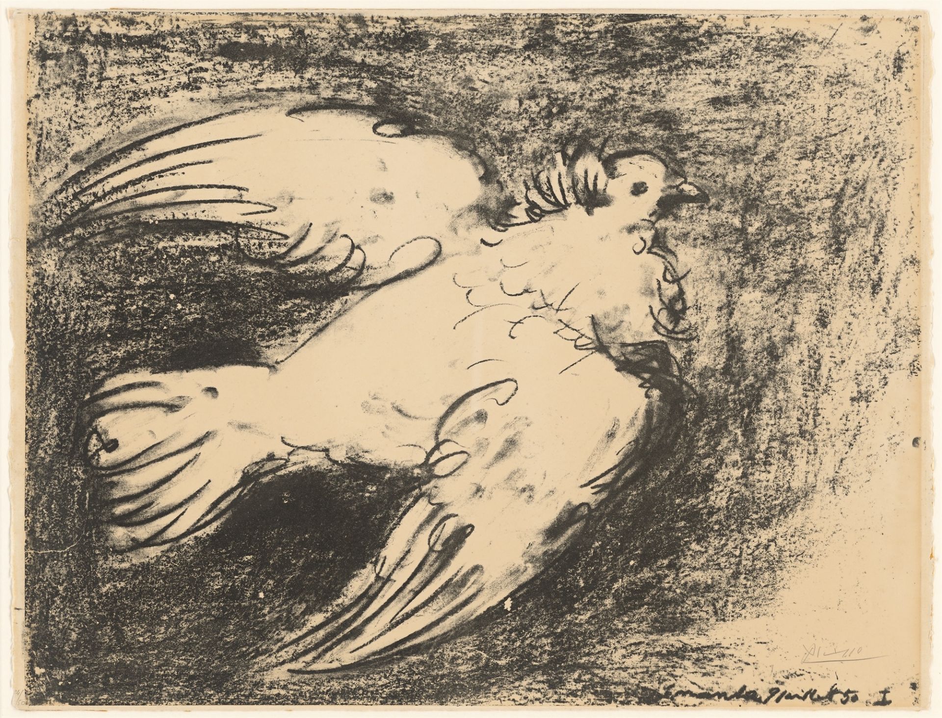 Pablo Picasso. ”La colombe en vol, fond noir”. 1950