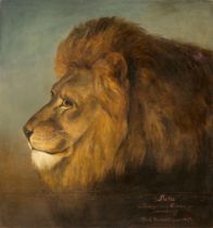 Friedrich Rückart. The Lion Lulu.