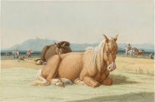 Wilhelm von Kobell. Horse on the Field. Circa 1819