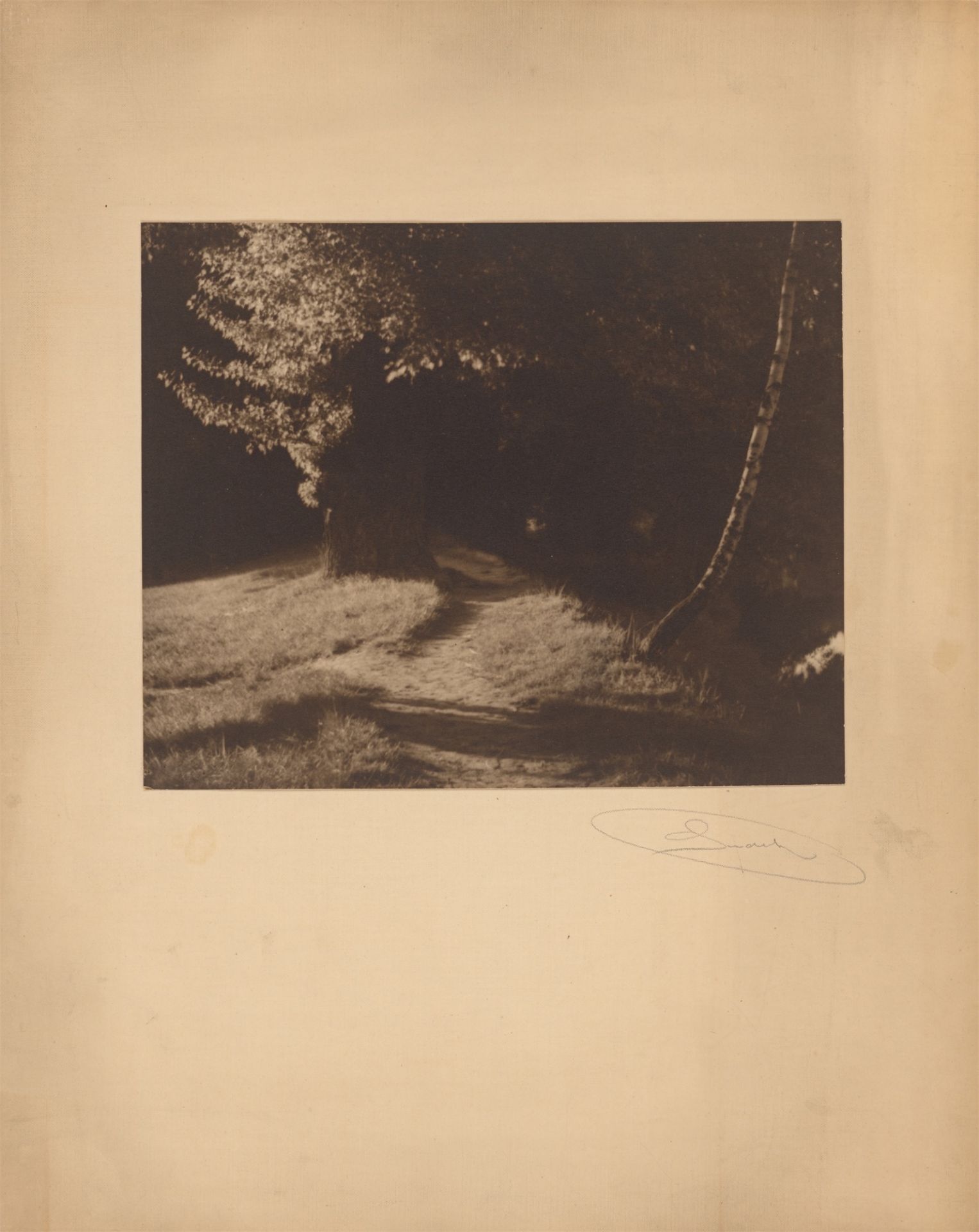 Josef Sudek. Landschaft mit Waldweg. 1918/22 - Bild 2 aus 2