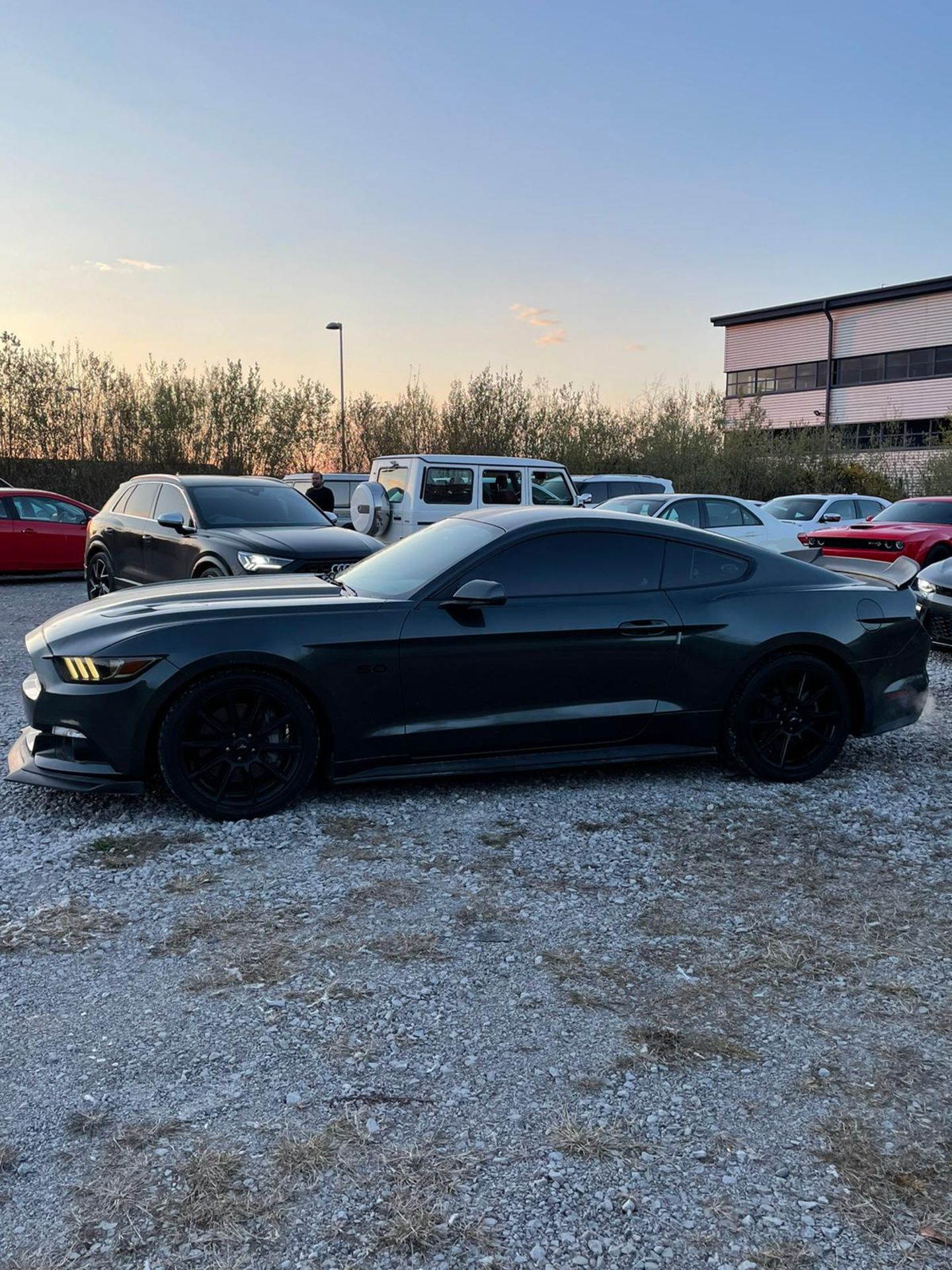 2016 5.0 V8 Manual mustang GT - Low Mileage - Image 3 of 11