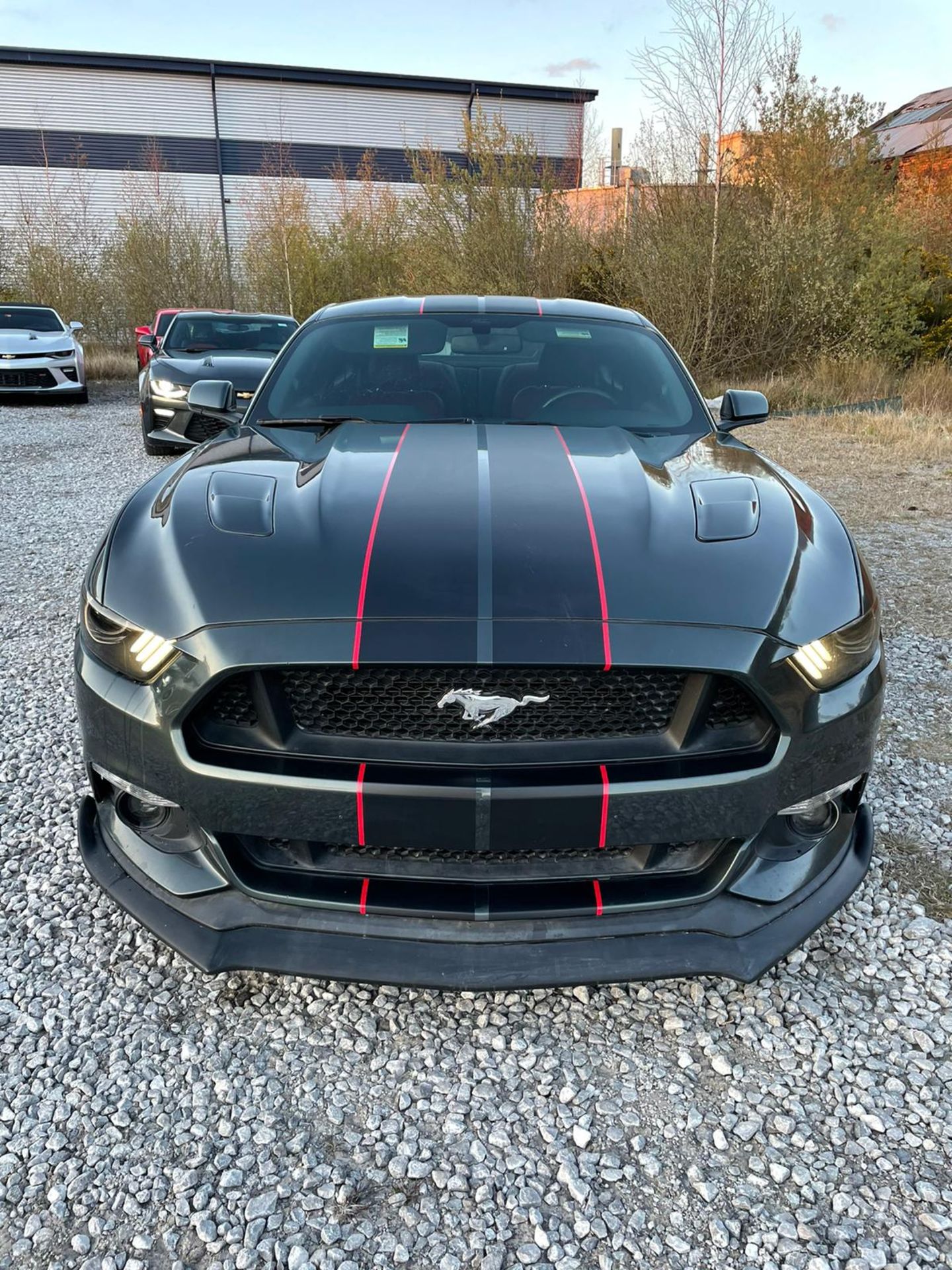 2016 5.0 V8 Manual mustang GT - Low Mileage