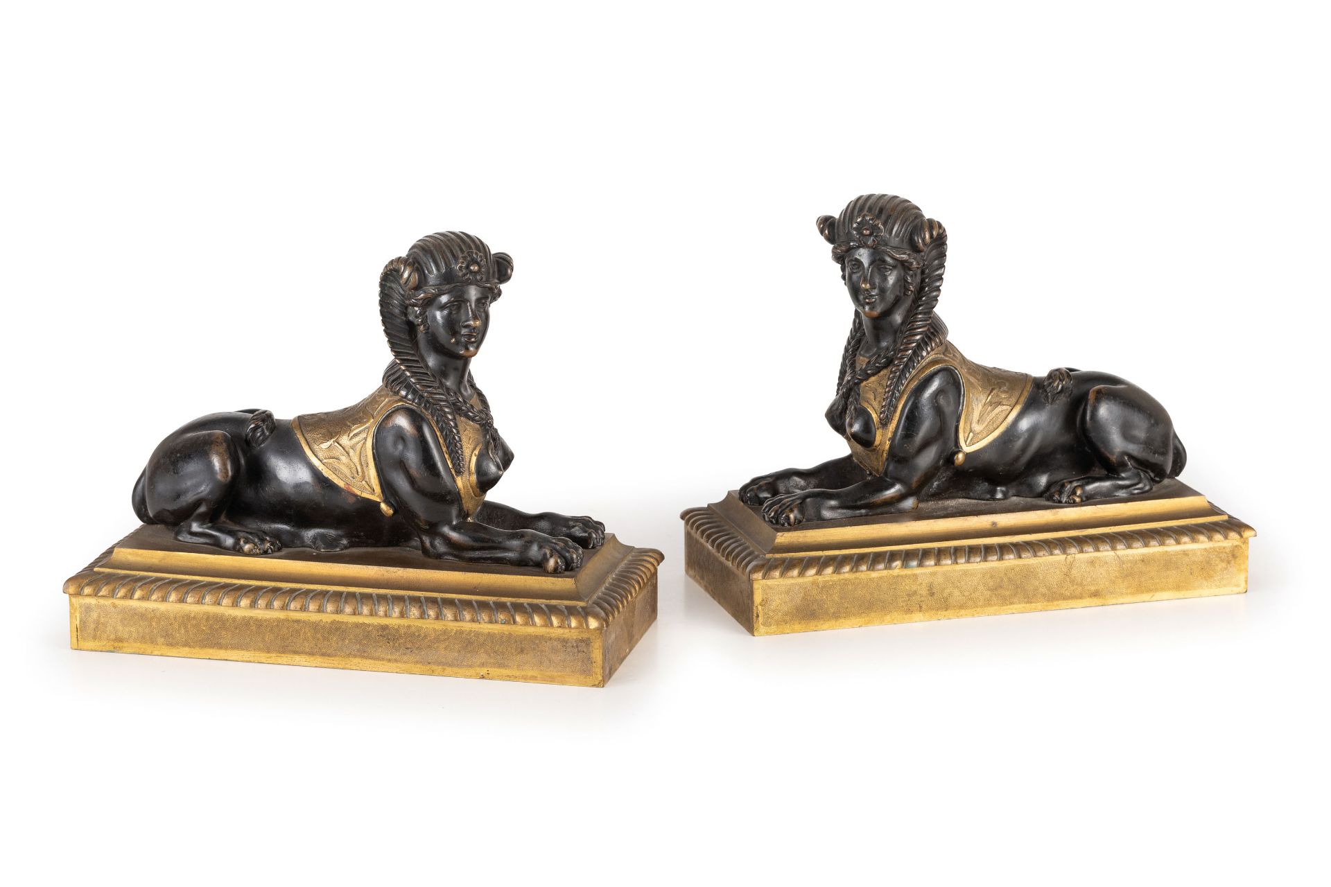 COPPIA DI ELEMENTI DECORATIVI IN BRONZO DORATO E PATINATO, XIX SECOLO