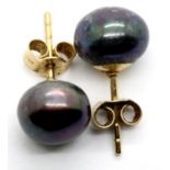 Ladies 9ct gold black pearl stud earrings, new old stock. P&P Group 1 (£14+VAT for the first lot and