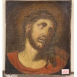 17th/18th century oil on canvas, profile of Christ cut from a larger canvas, 35 x 40 cm. P&P Group 3