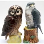 Royal Doulton Tawny Owl and Peregrine Falcon. Owl H: 18 cm, Falcon H: 19 cm. P&P Group 2 (£18+VAT