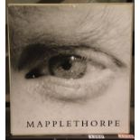 Large format Mapplethorpe in slip case. P&P Group 3 (£25+VAT for the first lot and £5+VAT for