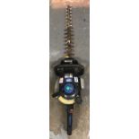 Macallister MHTP245-3 petrol hedge trimmer. Not available for in-house P&P, contact Paul O'Hea at