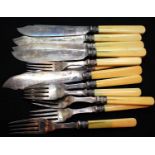 Twelve silver collared fish knives and forks with bone handles. P&P Group 1 (£14+VAT for the first