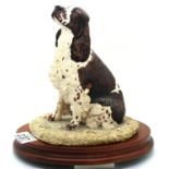 Border Fine Arts English Springer spaniel signed, Margaret Turner, H: 21 cm. P&P Group 2 (£18+VAT