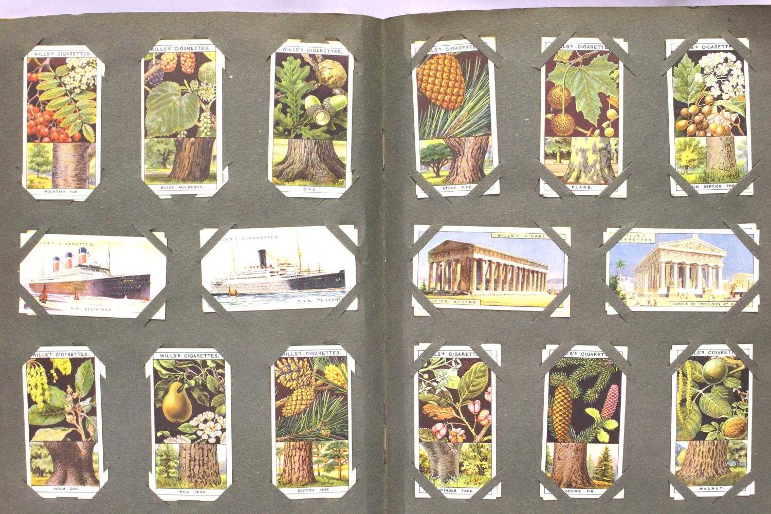 Album of vintage cigarette cards (approximately 500 in total). P&P Group 2 (£18+VAT for the first