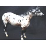 Beswick Horse, Appaloosa Stallion, 25 x 20 cm H. P&P Group 3 (£25+VAT for the first lot and £5+VAT