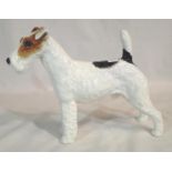 Royal Doulton rough haired Terrier dog, HN 1007 Crackly Starter. P&P Group 2 (£18+VAT for the