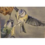 Signed Joyce Harker watercolour of Blue Tits feeding, 37 x 28 cm. Not available for in-house P&P,