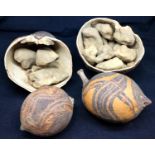 Three Aboriginal painted seed pods from boab tree decorated with animals, one damaged. P&P Group